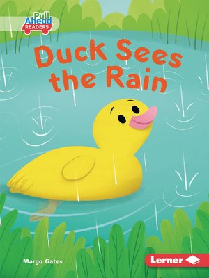 cover image of Duck Sees the Rain